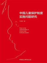 中国儿童保护制度实施问题研究