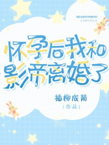 怀孕后我和影帝离婚了 怀孕后我和影帝离婚了