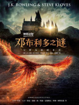 神奇动物:邓布利多之谜 神奇动物:邓布利多之谜