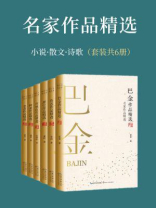 名家作品精选（全6册）