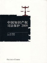 知识产权司法保护 2009