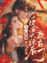 上门被嫌，被迫改嫁反派大佬后赢麻了！