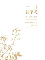 一片油菜花