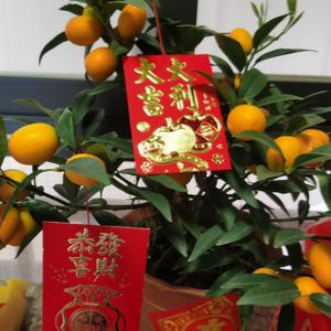 文一刀