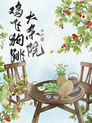 鸡飞狗跳大杂院