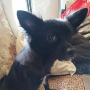 精神病人思路广