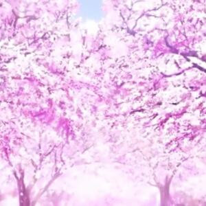 紫蝶