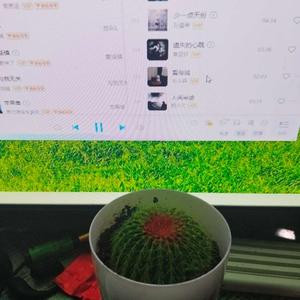 阳光下