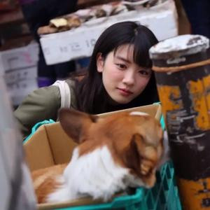 故事旅人