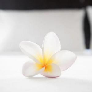小目标