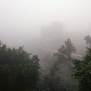 梅十一