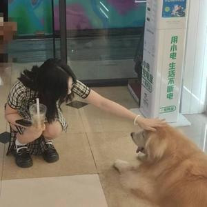 元亨利贞