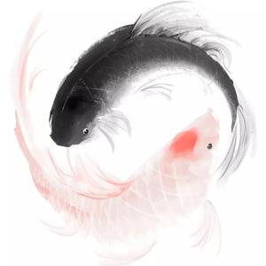 湖忘川