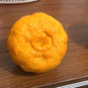 一场戏，累坏了小丑。