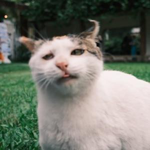 阿临