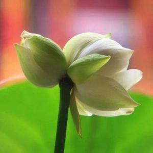 别梦依稀咒逝川