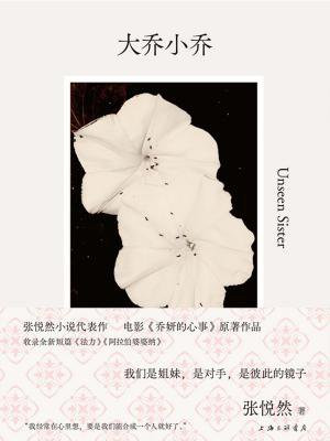 大乔小乔(赵露思、陈伟霆主演电视剧许我耀眼原著小说)