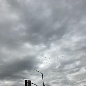 蜗牛