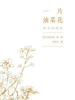 一片油菜花