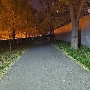 呜哈嘞