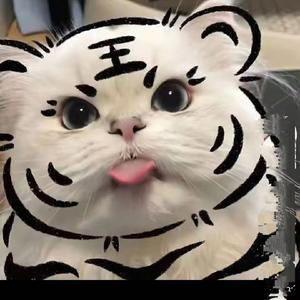 镜