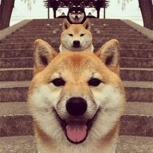 不渡