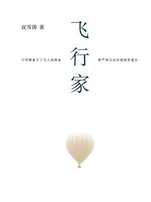 飞行家(电影刺杀小说家原著小说)