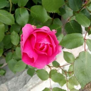 聆听岁月的精华