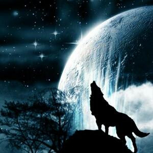 月光下的箫狼