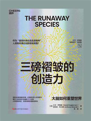 三磅褶皱的创造力