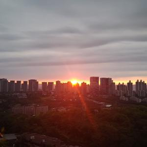 竹林归来
