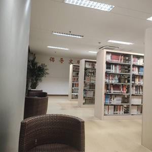 爱看书的小学生