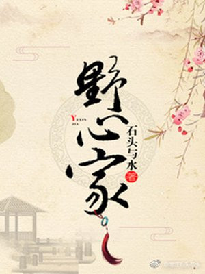 野心家（灼灼韶华原著，热依扎主演）