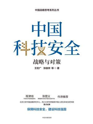 中国科技安全：战略与对策