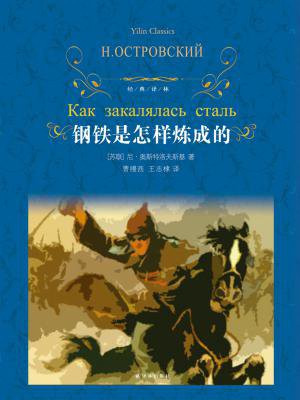 钢铁是怎样炼成的