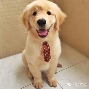 农家有女宠上天的圈子(掌阅)