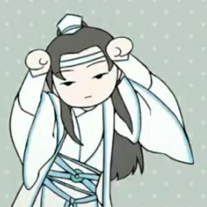 蓝湛家阔耐兔子