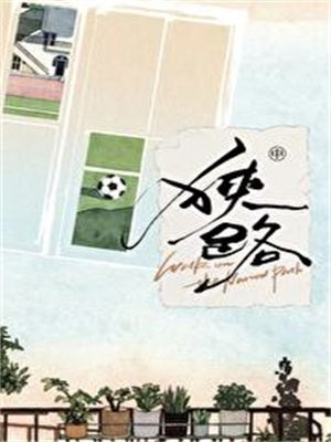 狭路（虞书欣、陈靖可主演灿如繁星原著 ）