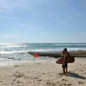 五棱镜里的春天