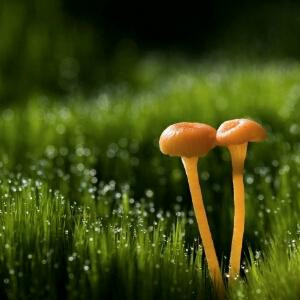 时间是把杀猪刀