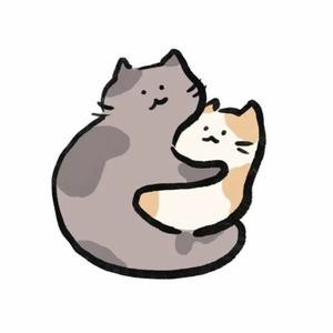 葵葵