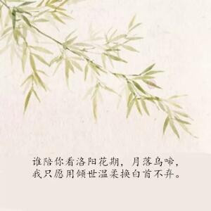 明月思倚楼