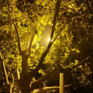 旭日东升云水会