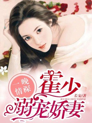 一晚情深:霍少溺宠娇妻