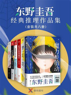 东野圭吾经典推理作品集（套装共六册）