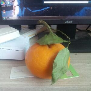 橘子好吃