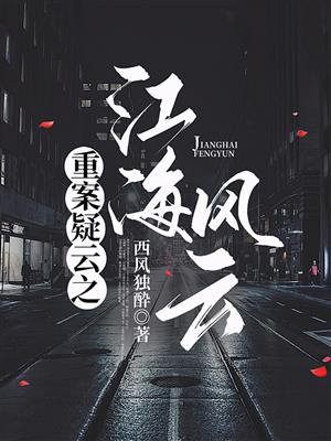 重案疑云1.江海风云