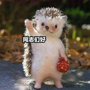 古穿今之影后驾到的圈子(掌阅)