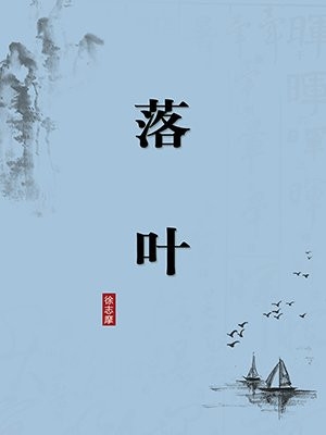 落叶·无注释版