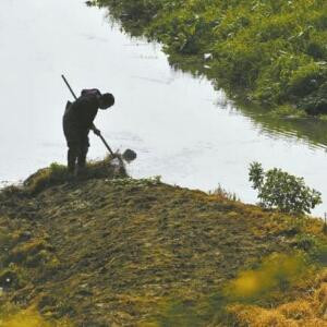 明末之争霸天下的圈子(掌阅)